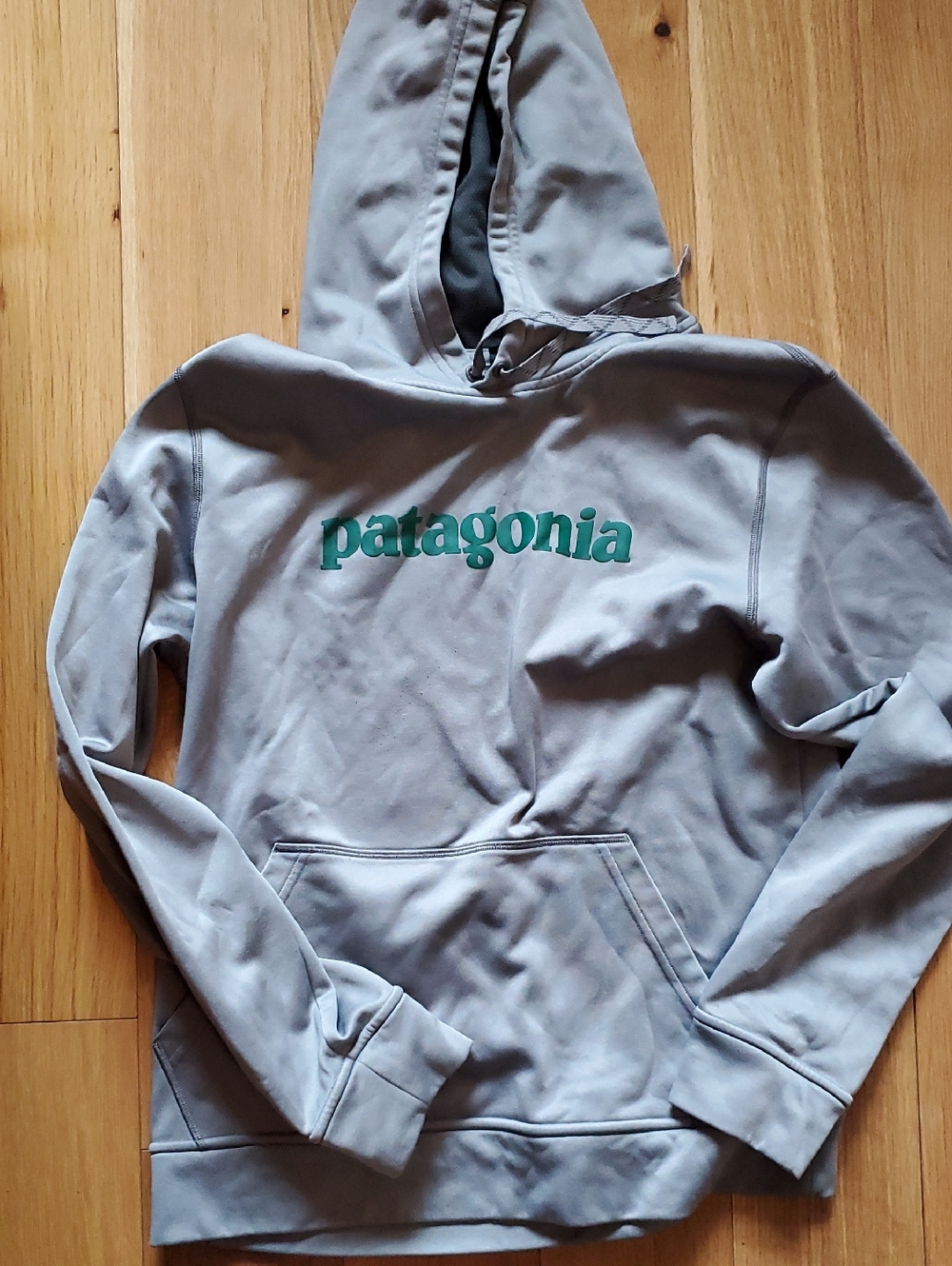 Patagonia Light Gray Hoodie with Teal Logo